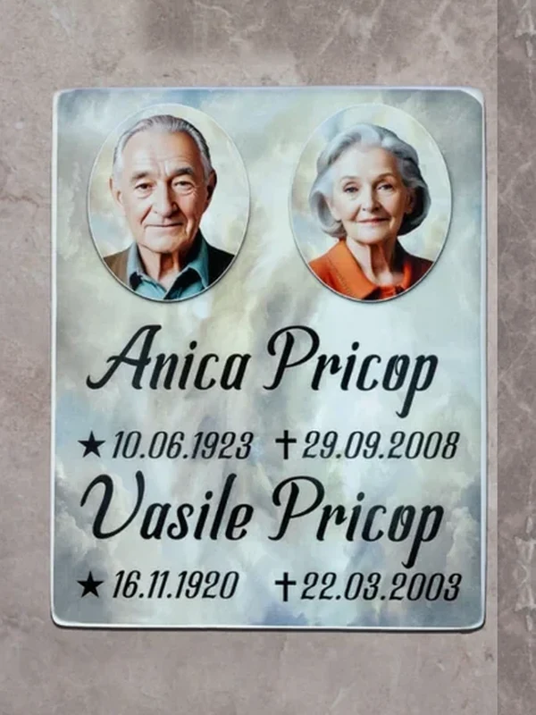 Plăci speciale verticală – 24 × 30
